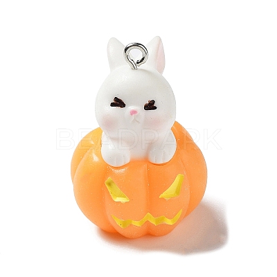 Resin Pendants CRES-D009-01H-1