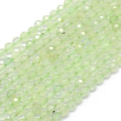 Natural Prehnite Beads Strands G-E411-25-2mm-1