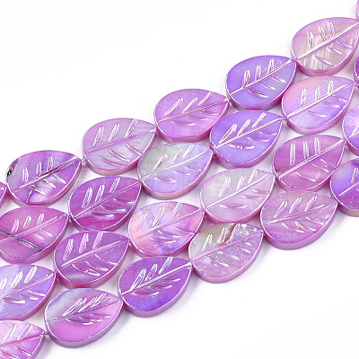 Freshwater Shell Beads Strands SHEL-S274-61-1