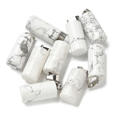 Natural Howlite Pendants G-B127-17P-05-1