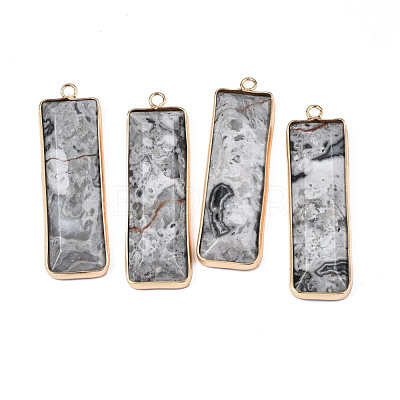 Natural Map Stone Pendants G-S359-386B-1