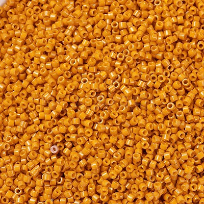 MIYUKI Delica Beads X-SEED-J020-DB2104-1