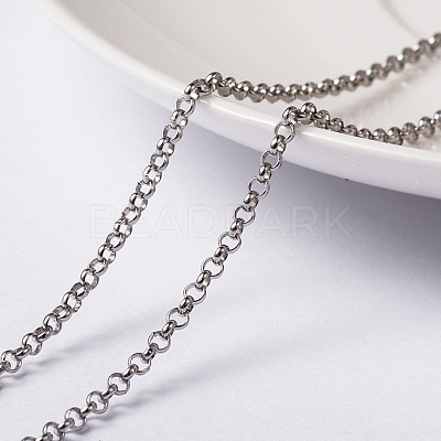 Non-Tarnish 3.28 Feet 304 Stainless Steel Rolo Chains X-CHS-L014-12P-1