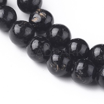 Natural Biotite Beads Strands G-L528-06D-1