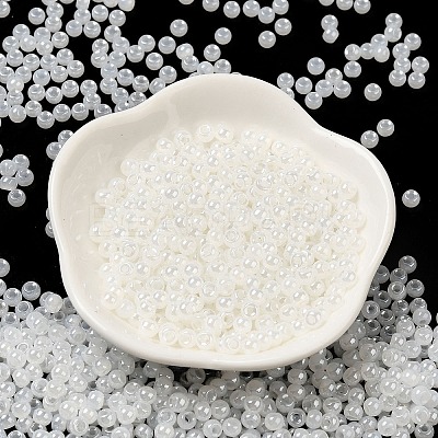 Glass Seed Beads SEED-H002-E-A141-1