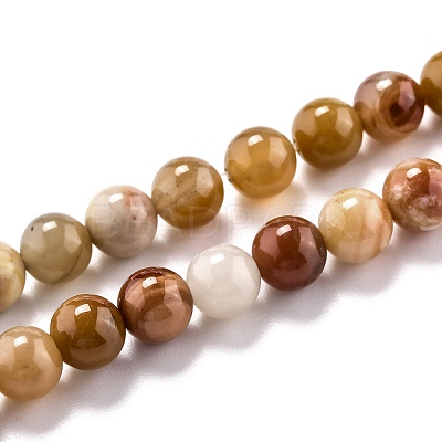 Natural Petrified Wood Beads Strands G-O199-06A-1