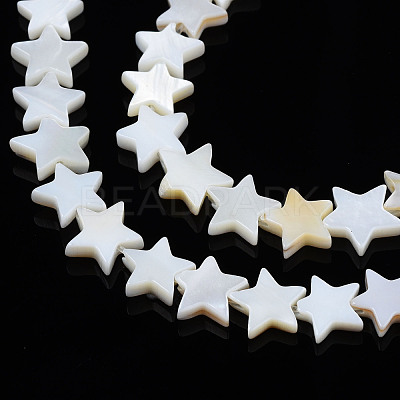 Natural Freshwater Shell Beads Strands SHEL-S278-01B-01-1