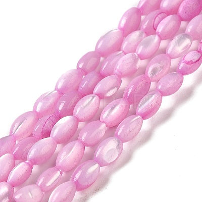 Natural Trochus Shell Beads Strands SHEL-K006-19-1