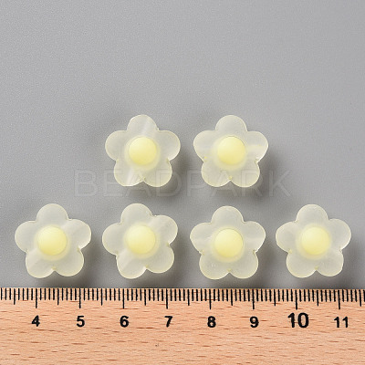 Transparent Acrylic Beads TACR-S152-09C-07-1