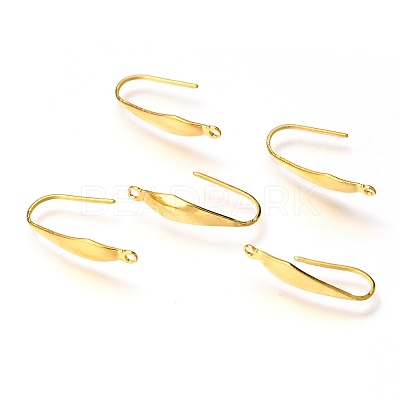 316 Surgical Stainless Steel Earring Hooks STAS-P166-10G-1