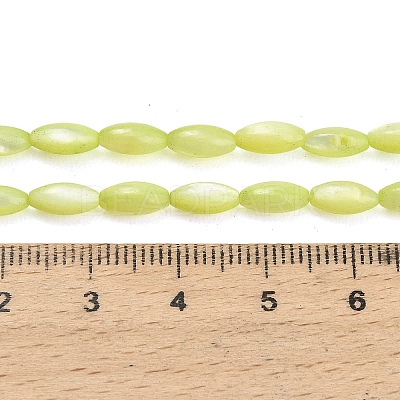 Natural Freshwater Shell Beads Strands SHEL-C010-01D-1
