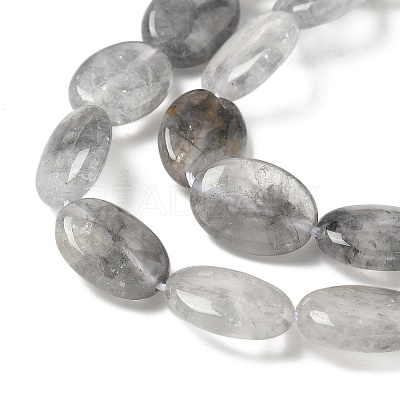 Natural Cloudy Quartz Beads Strands G-F790-A03-03-1