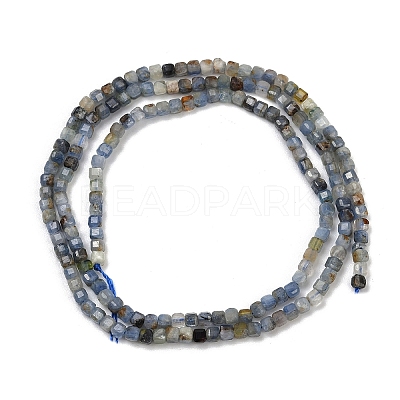 Natural Kyanite Beads Strands G-B088-E24-02-1