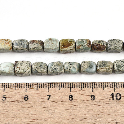 Natural Variscite Beads Strands G-N346-04A-11-1