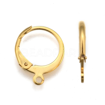 304 Stainless Steel Leverback Earring Findings STAS-P210-30G-1