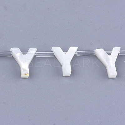 Natural Sea Shell Beads X-SHEL-T012-60Y-1