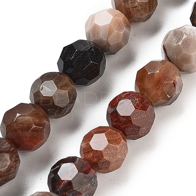 Natural Petrified Wood Beads Strands G-C150-B01-02-1