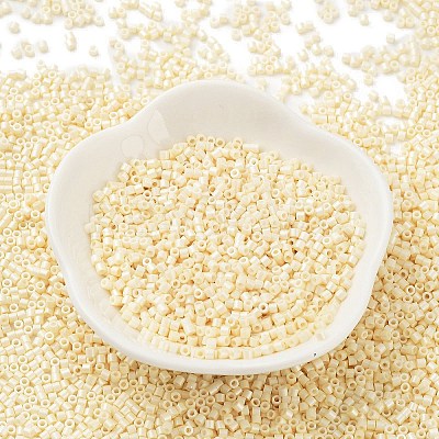 Baking Paint Glass Seed Beads X-SEED-S042-15B-25-1