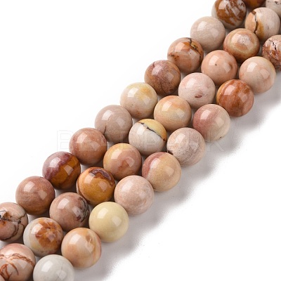 Natural Agate Beads Strands G-C238-03B-1