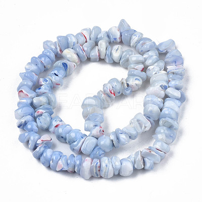 Natural Freshwater Shell Beads Strands SHEL-N003-23-B02-1