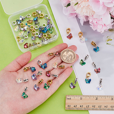 40Pcs 10 Styles Glass European Dangle Charms PALLOY-PH01829-1