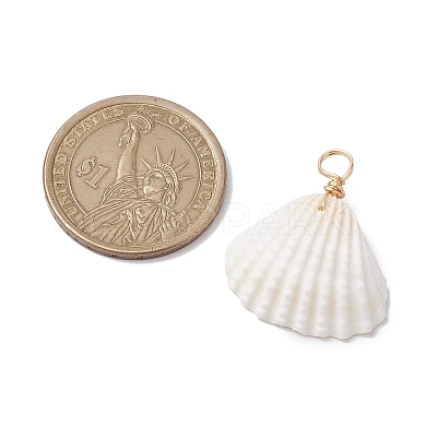 Natural Ark Shell Pendants PALLOY-JF02679-01-1