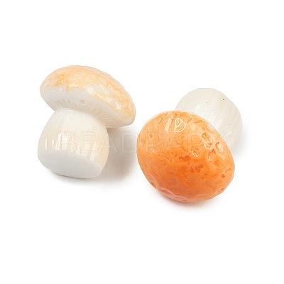 Mushroom Themes Resin Display Decorations DJEW-S002-01B-1