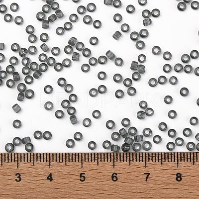 TOHO Round Seed Beads SEED-JPTR08-0009B-1