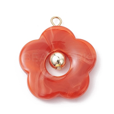 Acrylic Pendant PALLOY-JF02468-1