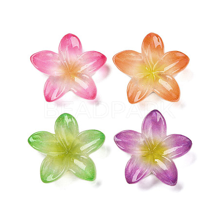 Opaque Resin Cabochons RESI-R455-01P-1