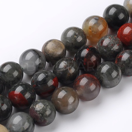 Natural African Bloodstone Beads Strands G-L383-06-12mm-1