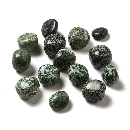 Natural Green Spot Jasper Beads G-G979-A13-1