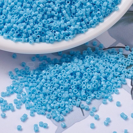 MIYUKI Delica Beads X-SEED-J020-DB0725-1