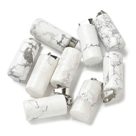Natural Howlite Pendants G-B127-17P-05-1