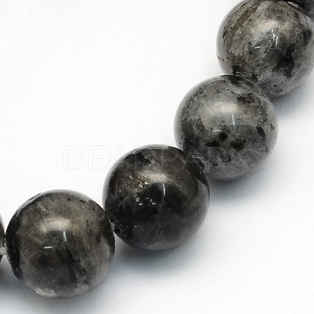 Natural Larvikite Round Beads Strands X-G-S159-8mm-1