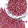 Opaque Glass Seed Beads SEED-S023-01C-05-1