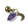 Natural Amethyst Pet Collar Charms HJEW-PH01731-5