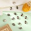 Preciosa® MAXIMA Crystal Fancy Stones Y-PRC-FF8-40010-2