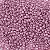 8/0 Glass Seed Beads SEED-A017-3mm-1110-2