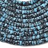 Dyed Synthetic Turquoise Beads Strands G-Z089-A04-S-5