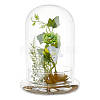 Glass Dome Cover DJEW-WH0099-06C-1