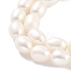 Natural Cultured Freshwater Pearl Beads Strands PEAR-P062-10I-4