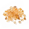 Acrylic Beads LS-OACR-C013-09D-1