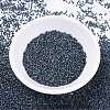 MIYUKI Delica Beads Small X-SEED-J020-DBS0325-1