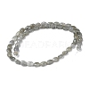 Natural Gray Labradorite Beads Strands G-Z006-A12-3