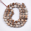 Natural Picture Jasper Beads Strands G-S354-20-2