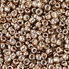8/0 Glass Seed Beads X-SEED-A017-3mm-1107-2