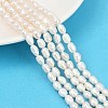 Natural Cultured Freshwater Pearl Beads Strands PEAR-P064-20H-03A-1