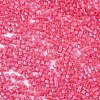 FGB 11/0 Grade A Glass Seed Beads X-SEED-S030-1144-2