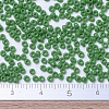 MIYUKI Round Rocailles Beads SEED-G007-RR0411-4